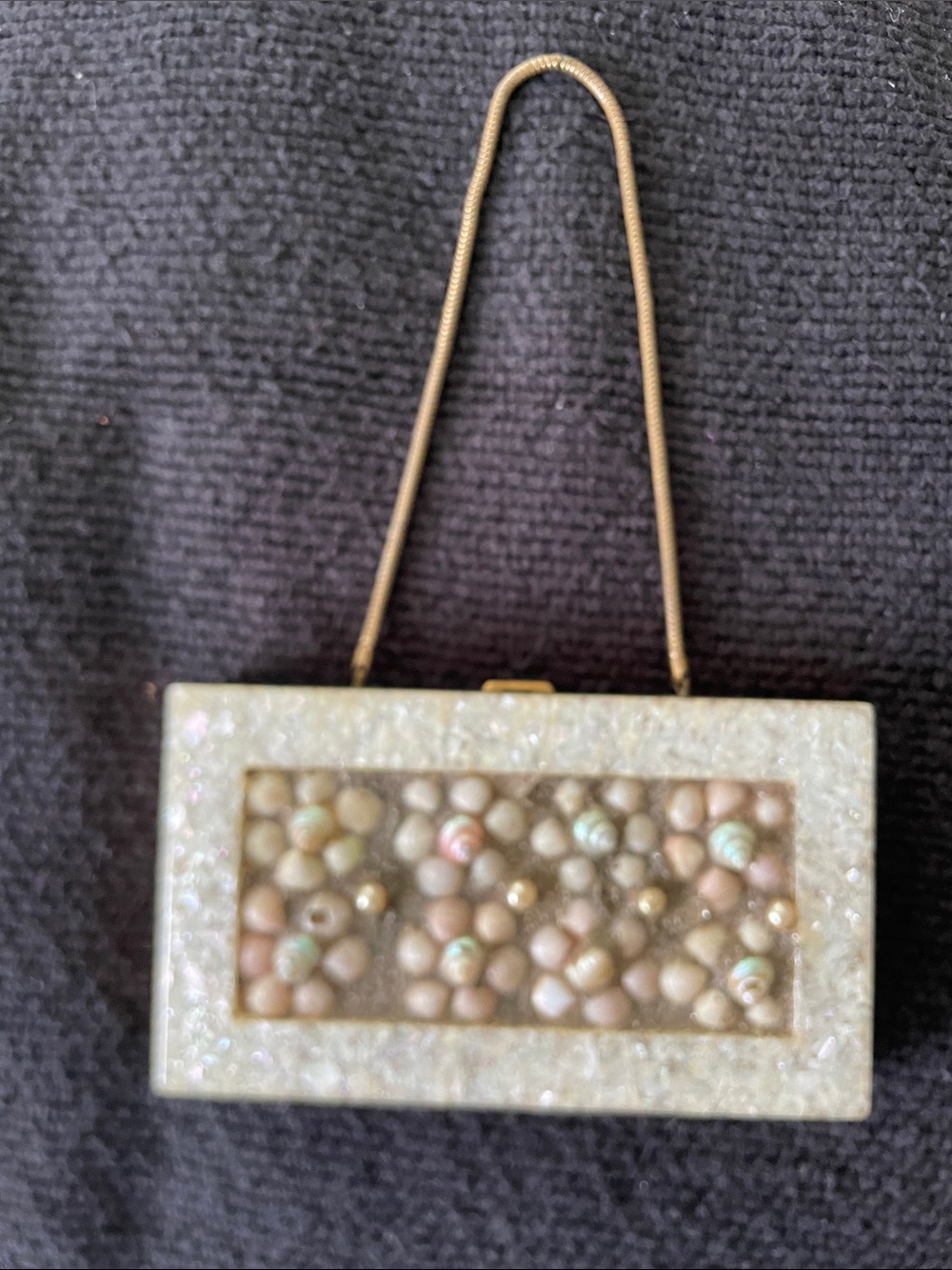 RARE vintage Wilardy Cream Beaded Shell antique mirrored handbag